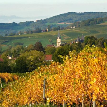 Gite Le Douglas, Vignoble Et Reculees Du Jura - Avec Sauna Lavigny Extérieur photo