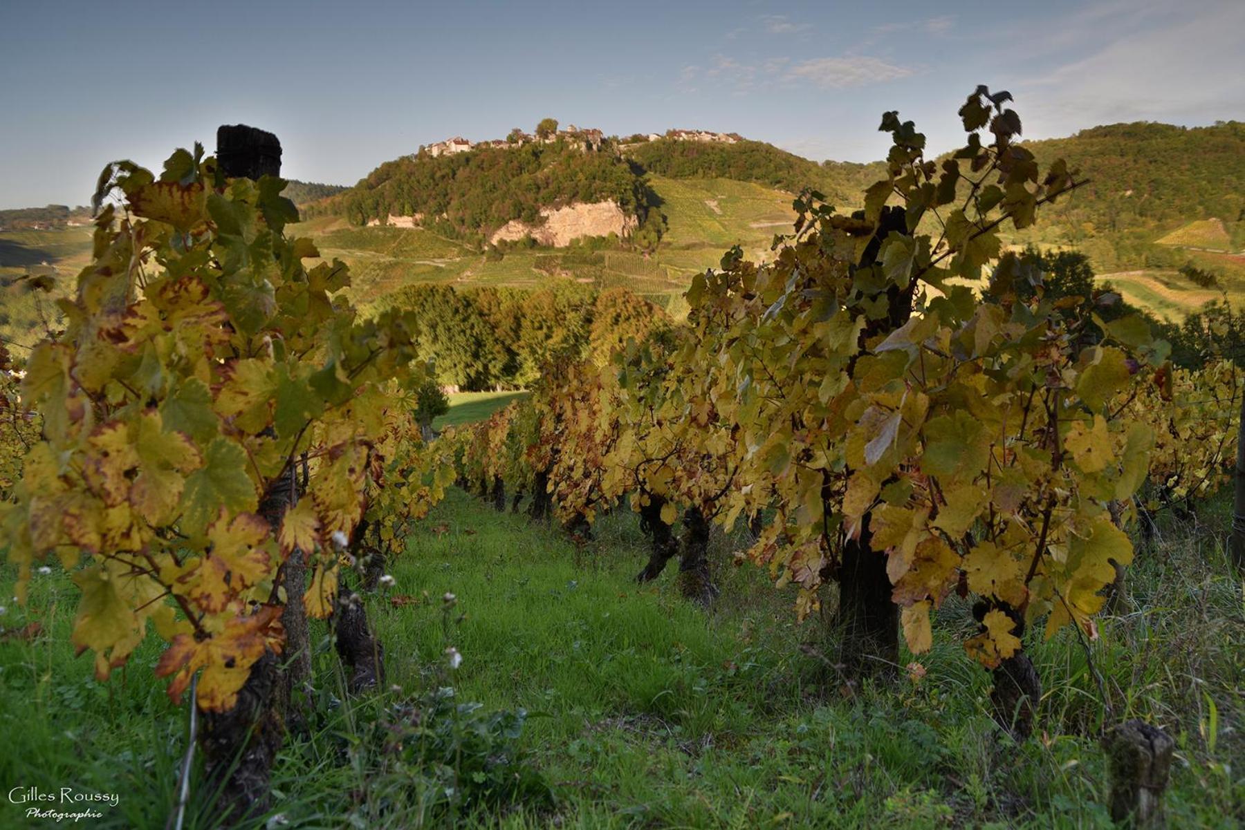 Gite Le Douglas, Vignoble Et Reculees Du Jura - Avec Sauna Lavigny Extérieur photo