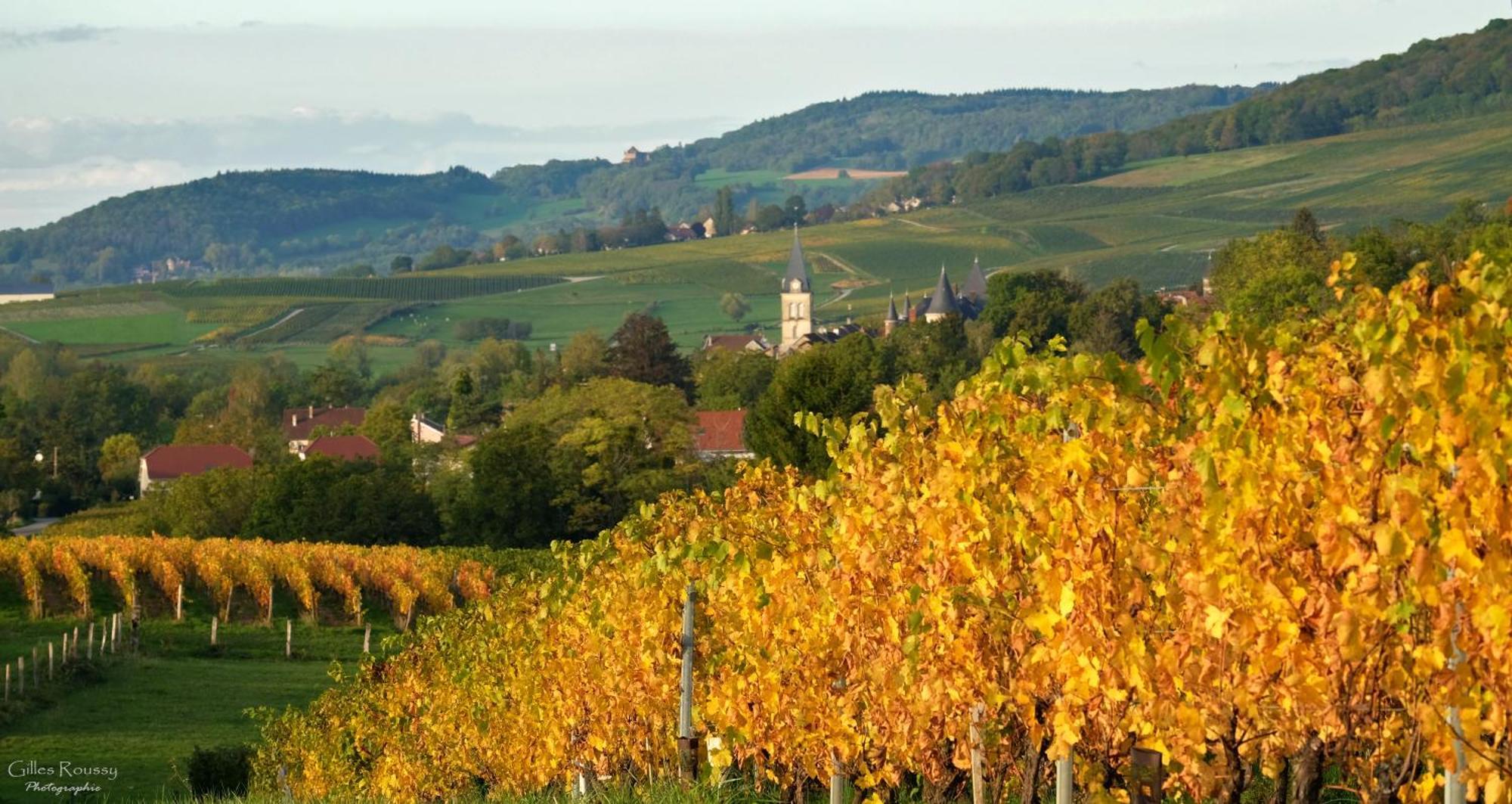 Gite Le Douglas, Vignoble Et Reculees Du Jura - Avec Sauna Lavigny Extérieur photo